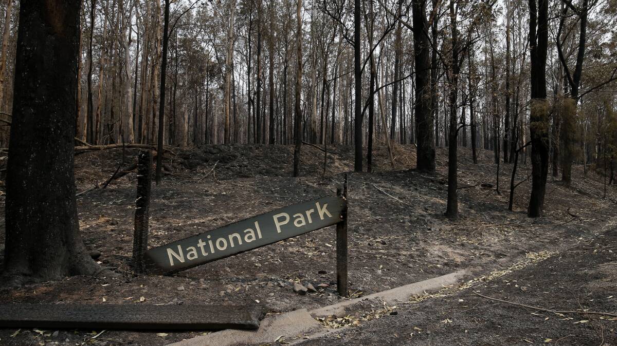 
Burnt out bushland south of Taree on November 11. Picture: Darren Pateman
