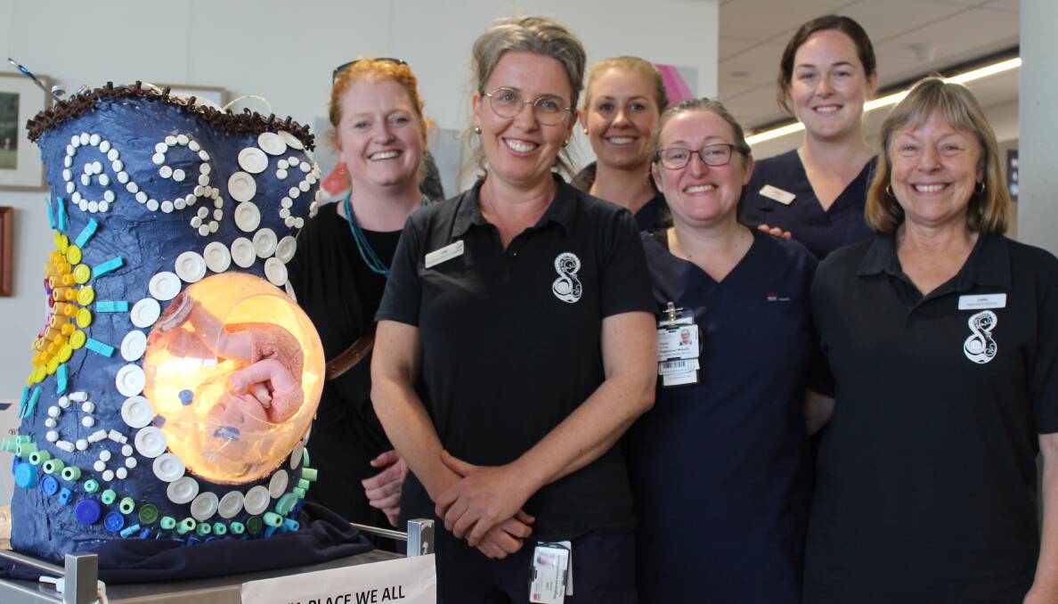 CREATIVE MINDS: Midwives who contributed to the sculpture A Place We All Have Lived are Beth Sandstrom, Lise Hetzel, Hayley Lewis, Paula Sonley, Megan Olsen and Lelia Brightmore. 