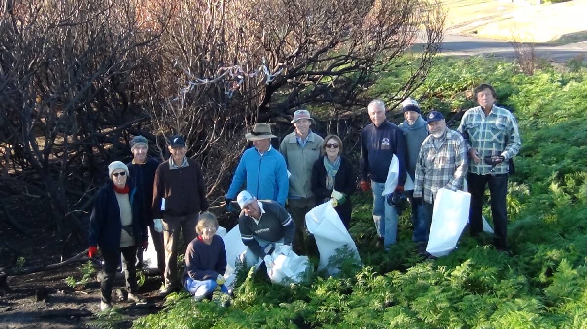CLEAN UP TIME: Volunteers assist with a clean up in Tathra in a previous year. 