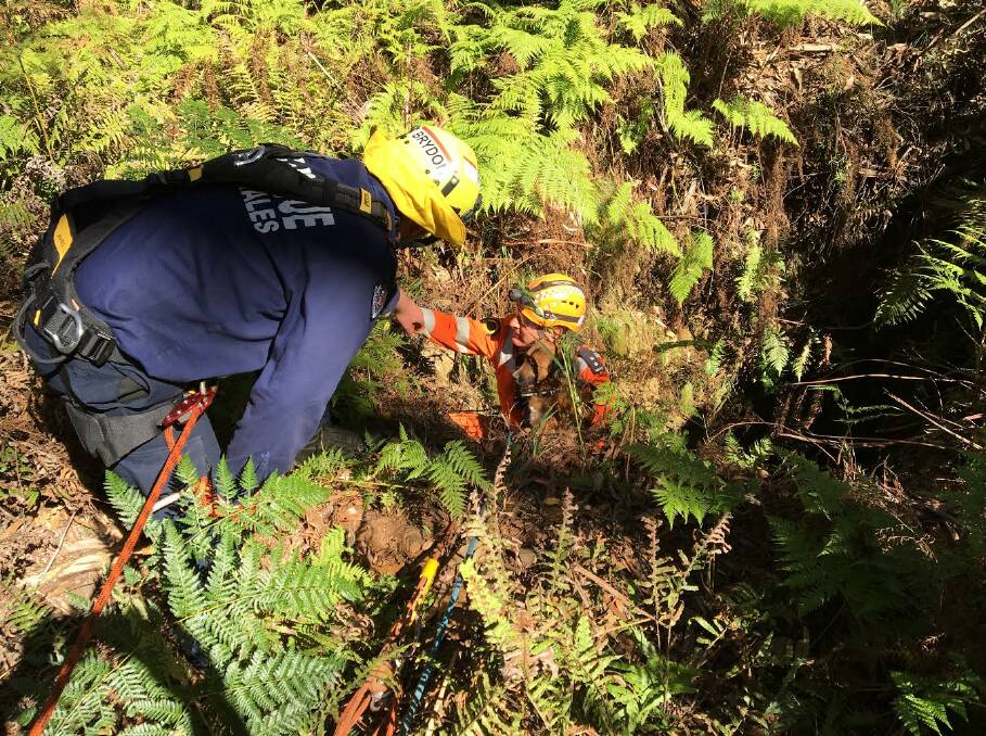 SAFE AND SOUND: The second dog is rescued from the mine shaft near Moruya on Sunday. Photo: Moruya SES.