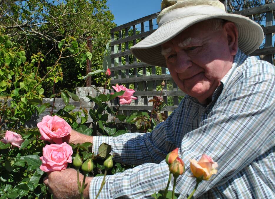 Max Atkins with his favourite rose, Gemini. Photo: Jessica McInerney. 