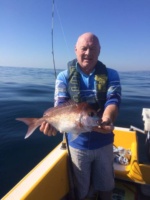Lovely fish: Steve Weave holding a nice catch-and-release snapper off Gillards. Snapper are back on the chew at our local reefs and good catches have been reported from all down the coast. 