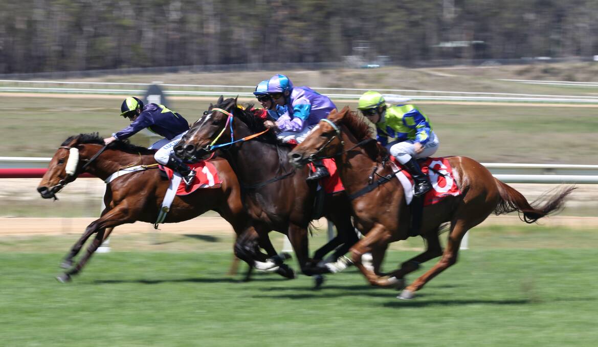 Racing fans enjoyed some great competition at the Sapphire Coast Turf Club on Sunday where Jarrett featured as the headline race winner. 