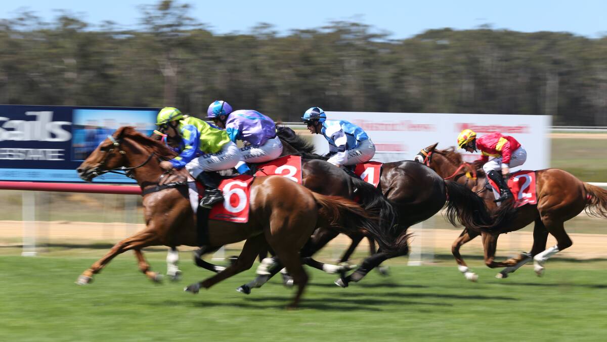 Good run: there will be competitive fields during a TAB seven-race card for the Sapphire Coast Turf Club's Jazz Festival race meet on Sunday. 
