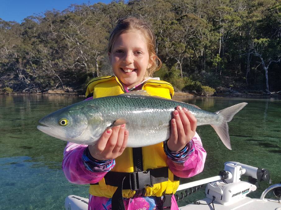 RIVER ANGLING: Ten-year-old Ava Tatman of Merimbula shows her lovely catch of Australian Salmon caught in the Pambula River before releasing it back to the wild.