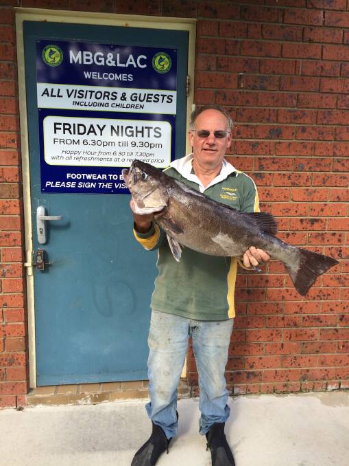 Top catch: MBG&LAC President John McKay, with a lovely hapuka taken off the shelf from Merimbula.