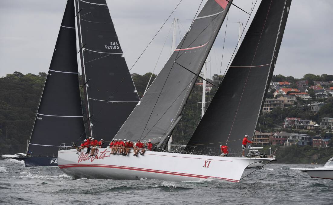 Full sail: The Wild Oats XI crew in action during their SOLAS Big Boat challenge win on Sydney Harbour on Tuesday. Picture: AAP. 