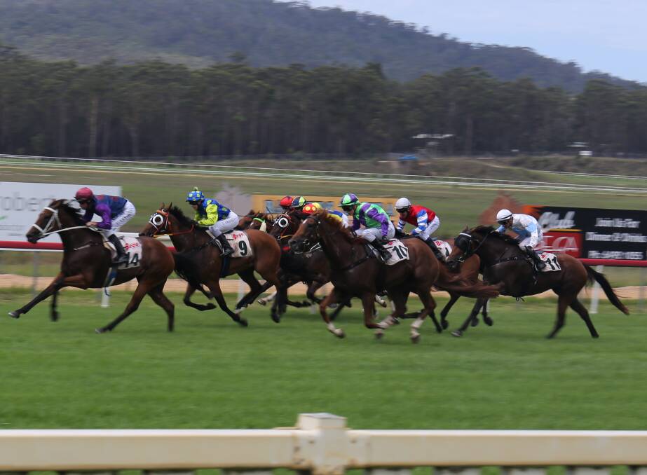 Top numbers: With almost 120 nominations, race organisers are expecting strong fields for the Merimbula Cup at the Sapphire Coast Turf Club on Friday. 