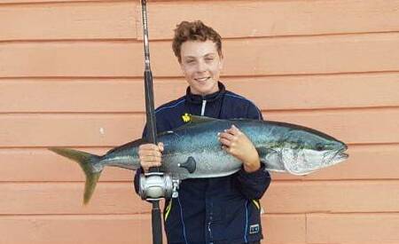 Tyler Ellard, aged 13 years, landed this king fish at the wharf recently. 