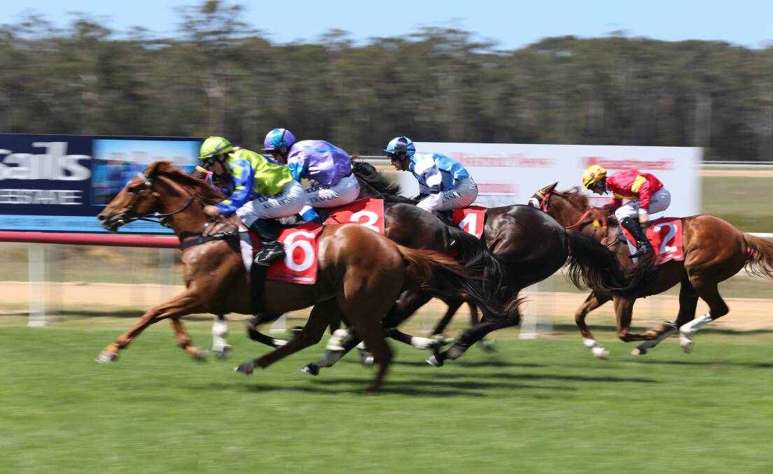 Hard to call: There were huge fields and close racing for the Sapphire Coast Turf Club's Tradies Race Day on Friday. 