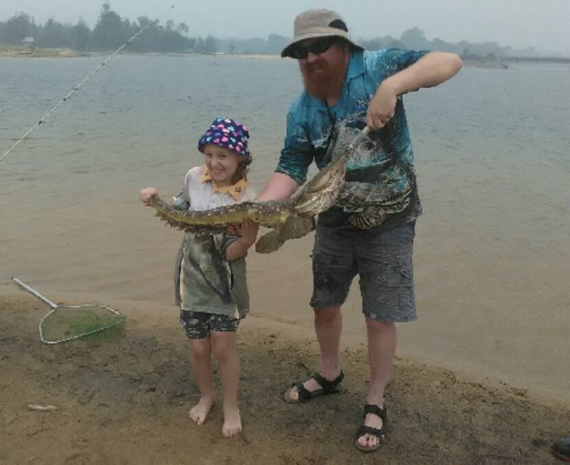 Look what I caught!: Nine-year-old Amelia Davey of Tura Beach, assisted by her father Mark, proudly shows her giant 97cm dusky flathead caught and released at Mogareeka. 
