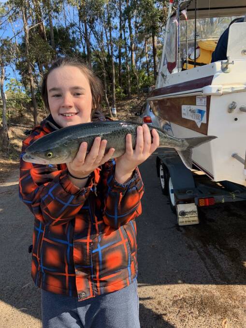 Angus Ryan, 10, shows off his 50cm Australian salmon caught in Pambula Lake for the MBGLAC Tackleworld Merimbula fishing comp.