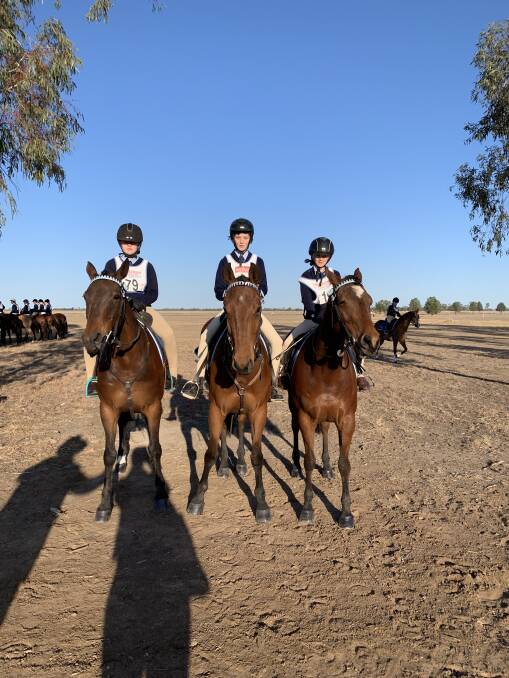 Cobargo Pony Club members Zali Duncan on Splash, Olivia Olsen on Dynamite and Alena Duncan on Piper excelled at the Queensland state championships.