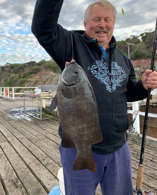 Holiday fun: Visitor Joe Battaglia of Melbourne shows a magnificent drummer taken last Sunday morning from the Merimbula Wharf. 