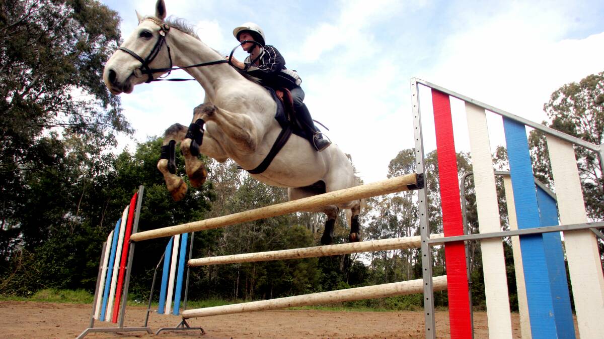 Leaping forward: Thoroughbred jumpers and equestrian riders will get the chance to shine during the Far South Coast National Show this weekend. 