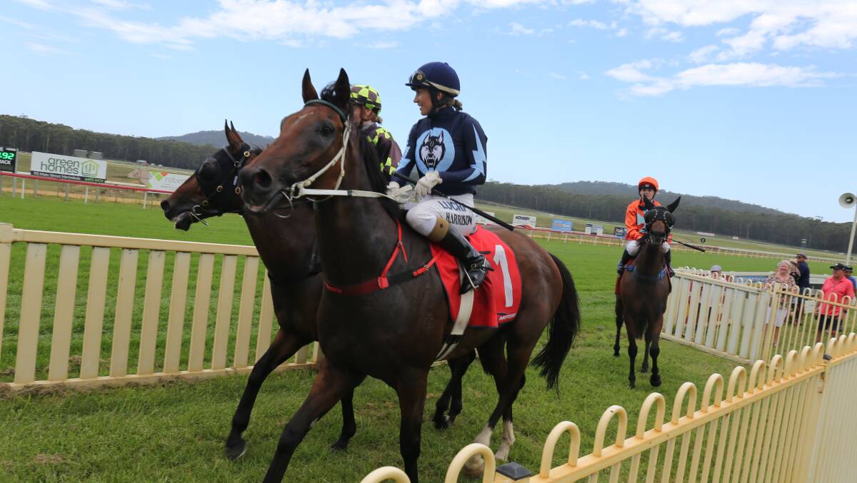 Cold and clouds will give way to sunshine for the Sapphire Coast Turf Club's Winter Sun Festival day on Sunday. 