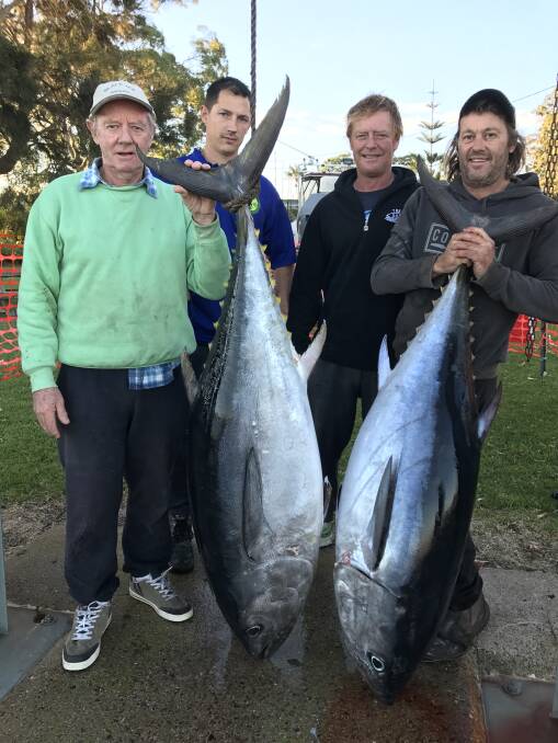 Nice catch: Merimbula Captain Robert Wood and crew John Rumbold, Ross Cooper and Danny Broadsmith landed these 50kg and 52.5kg Bluefin Tuna off Merimbula on the weekend.