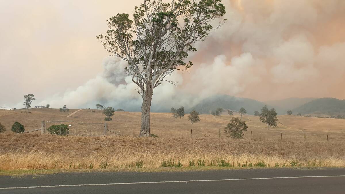 The Werri Berri bushfire at Morans Crossing. Picture: Angus Johnston
