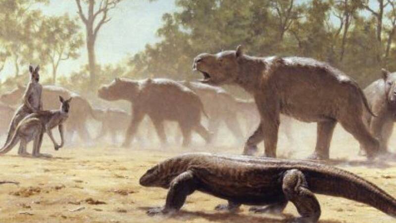 Diprotodon, a descendant of the koala, undertaking mass migration, while being observed by a giant lizard (Megalania) and giant grey kangaroos. Picture: Laurie Beirne