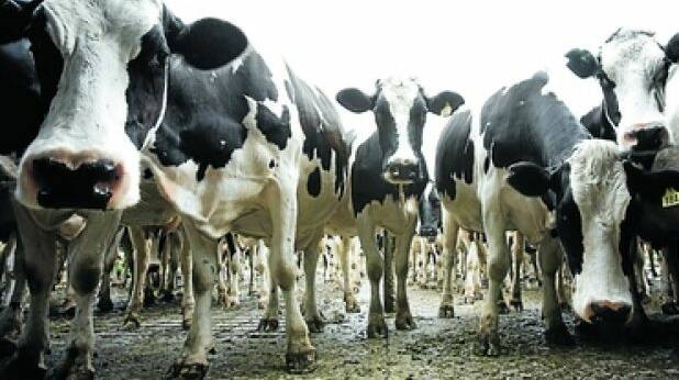 Dairy lobby group says ‘power imbalance’ must shift