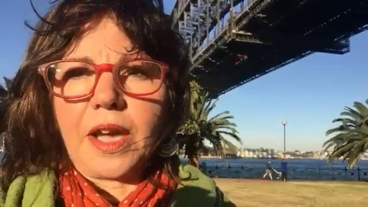 Bega Valley Shire councillor Jo Dodds stands in front of three Greenpeace Australia Pacific protesters on the Sydney Harbour Bridge on Tuesday. Picture: Supplied