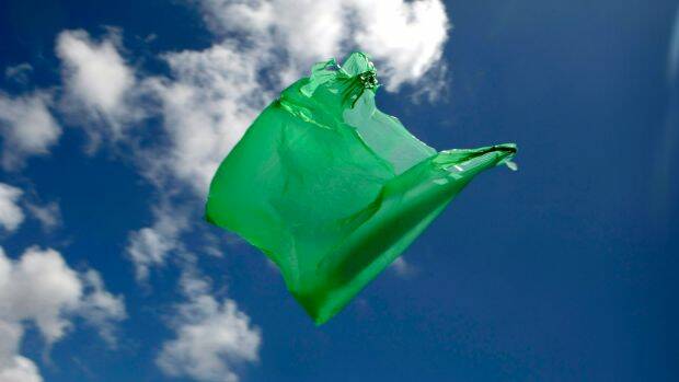 ‘The best solution is still avoidance’: Wait for plastic bag ban too long, says activist