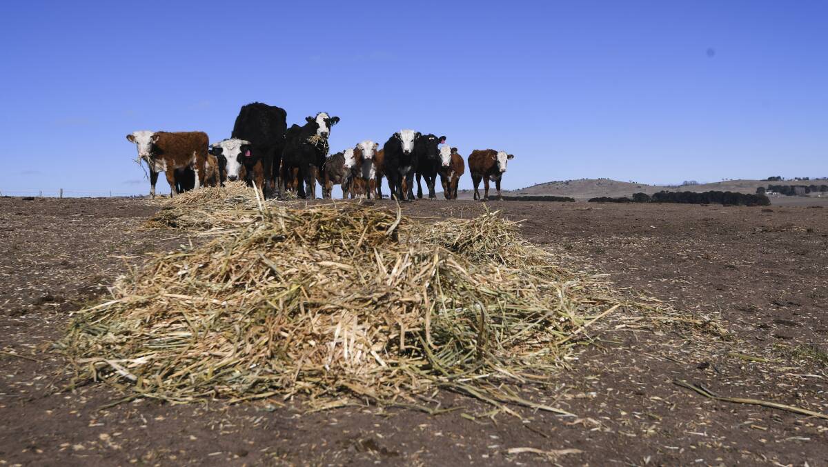 Cowseat hay near Braidwood last week. The NSW government has declared that 100 per cent of the state is impacted by drought, on the back of a drier-than-expected start to winter. Picture: Lukas Coch

