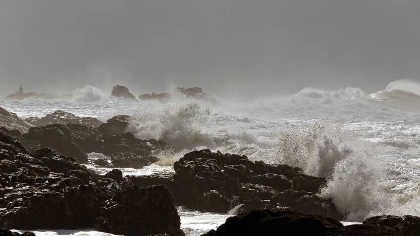 Gale force wind warning forecast for cold beginning to school holidays