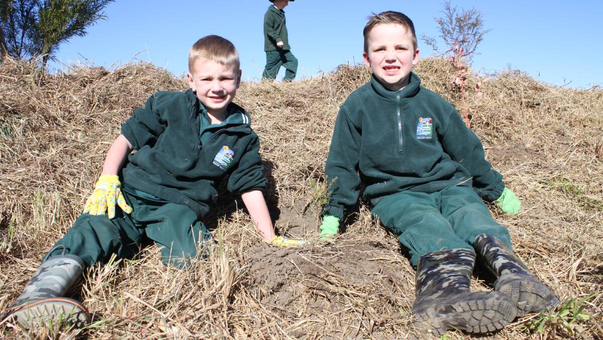 Sapphire Coast Anglican College pupils Alexander Irvin and Judd Mackey plant trees on Friday. Picture: Alasdair McDonald