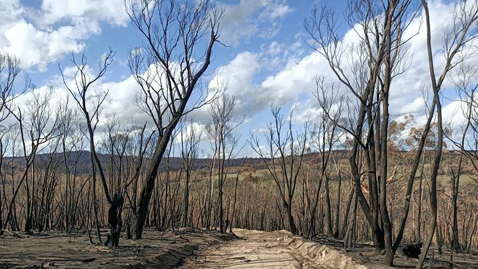 Bushfire damage captured by the Monaro Team Rural Fire Service.