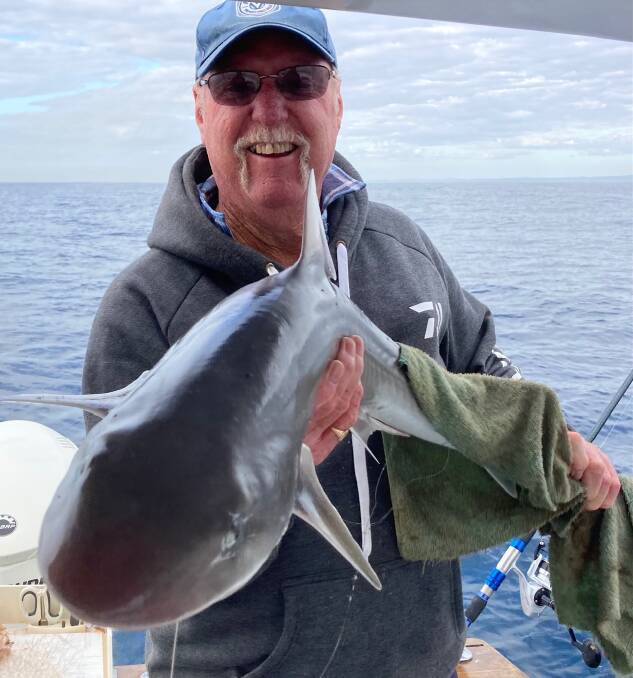 Narooma Sport and Game Fishing Club member Dennis Maggs with a nice gummy shark caught off Mystery Bay on Monday.