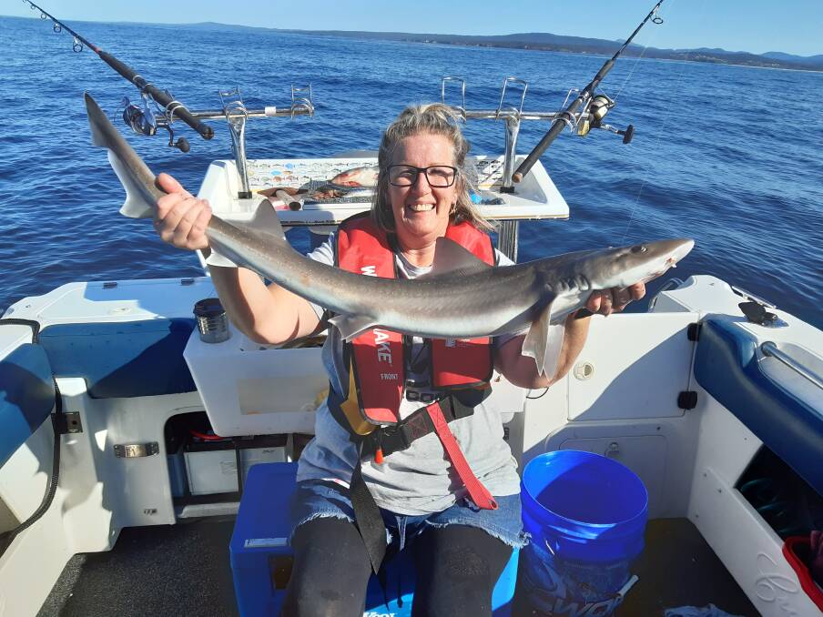MBGLAC member Gina Phillips of Tura Beach with a gummy shark,
taken near Long Point Merimbula.