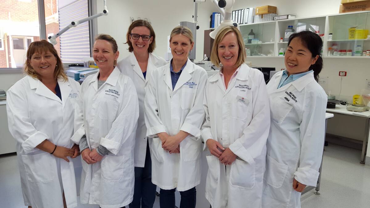 NSW Department of Primary Industries Australian Oils Research Laboratory  at Wagga Wagga has been awarded international accreditation in olive oil analysis for almost two decades. The NSW DPI olive oil testing team in the lab  - Kerrie Graham,Tracey Kingham, Donna Seberry, Belinda Taylor, Chris Wallace and Anna Fang.