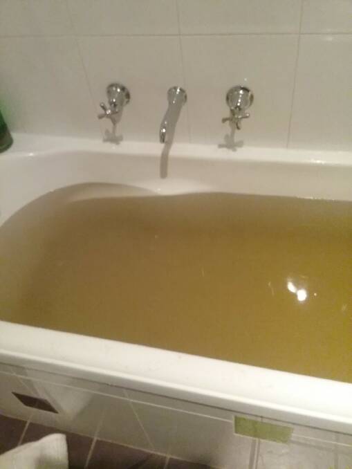A photo of bath water sent to the Times on Friday.