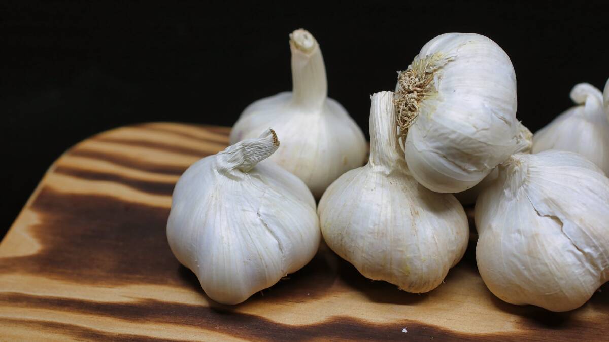 Black garlic to shine at fine food show
