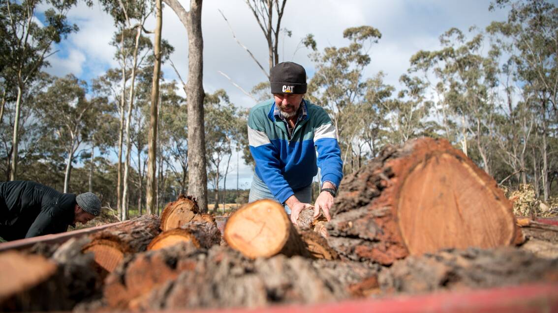 Gippsland - plan now for your firewood needs