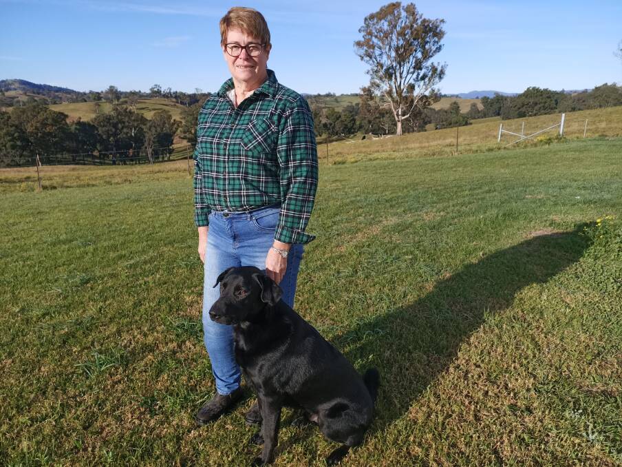 REBUILDING: Stephanie Stanhope at her property in Numbugga with her friend's dog Zeb. Photo: Ben Smyth