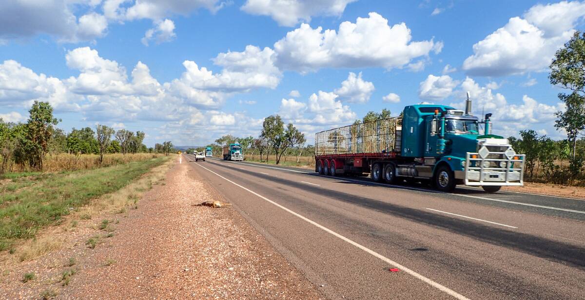 Revenue from rego wouldn't even maintain the roads we have, let alone build new ones. Photo: Shutterstock.