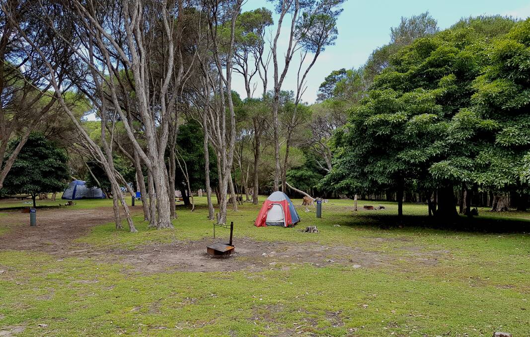 Bittangabee Bay campground. Photo: A Cutlack, NPWS