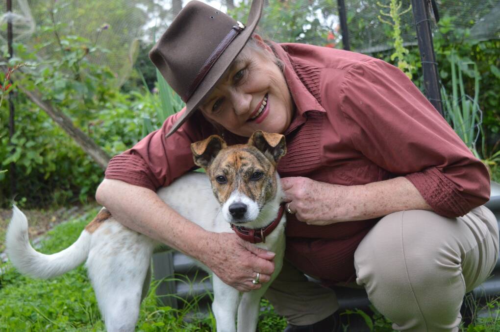 TIME TO SLOW DOWN: Jeanne Medlicott with pup Lacey, a Jack Russell Dingo cross. Jeanne has been a passionate journalist and photographer for 21 years. 