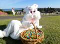 The Easter Bunny is raking it in at this time of year. Picture by Anthony Brady, Australian Community Media