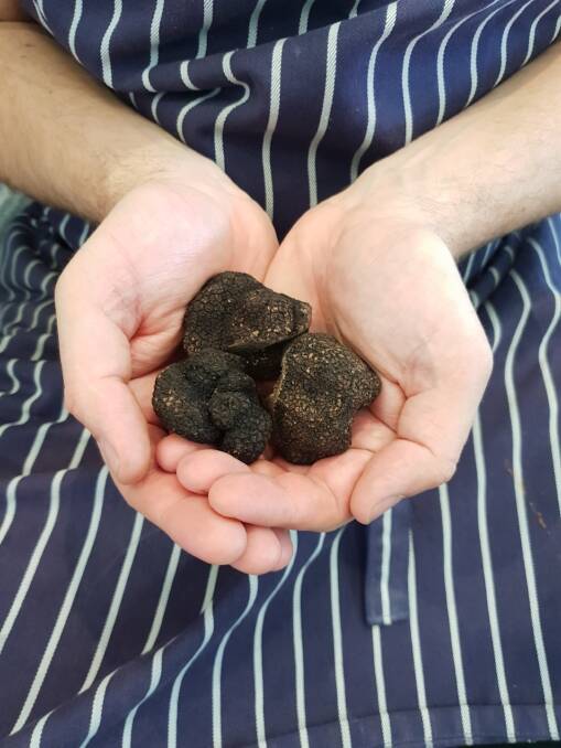 Truffles. Picture: Stock image 