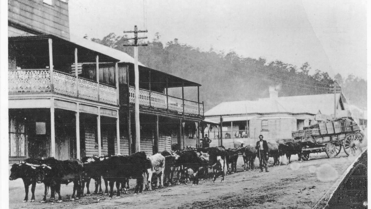 On the move: Wolumla in the late 1880s. In the late 1800s several businessmen moved to the town, expanding its commercial centre. 