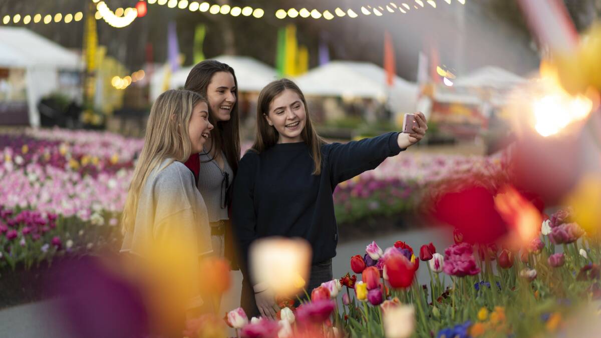 Flower power: Canberra's most beautiful festival embraces the season and the world