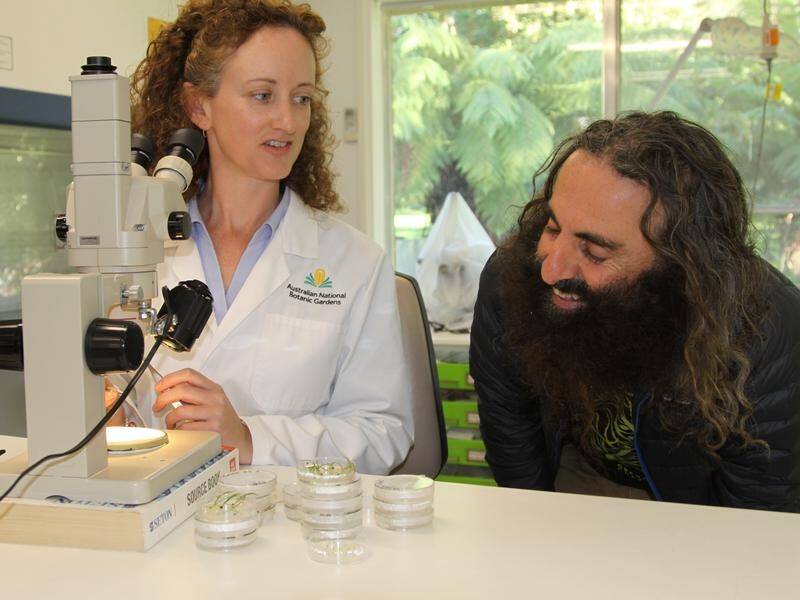 Costa Georgiadis (right), with seed scientist Dr Gemma Hoyle-Farrell, says seed banks are crucial.