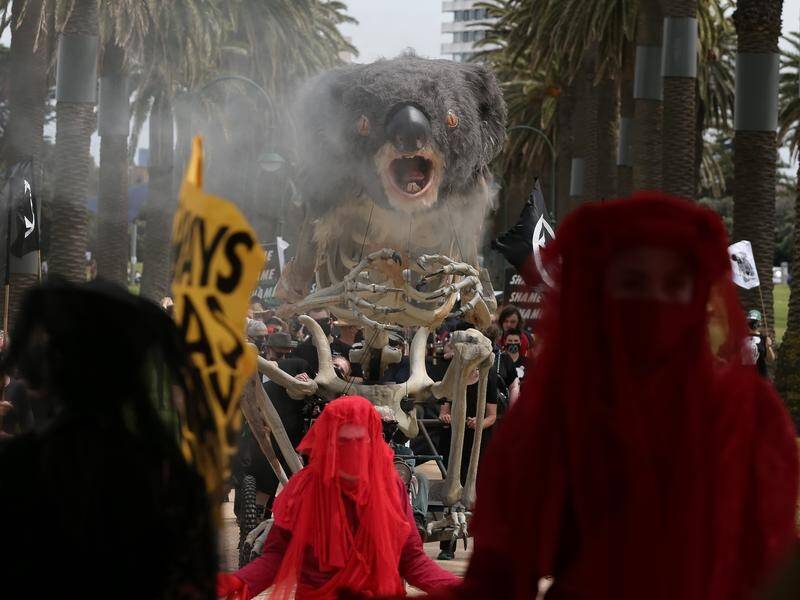 A 4m-tall burning koala has been at the centre of a Melbourne protest against climate change.