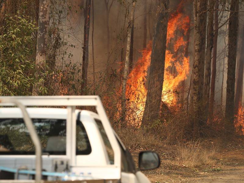 Rain has eased conditions significantly, but not enough to extinguish bushfires in northern NSW.