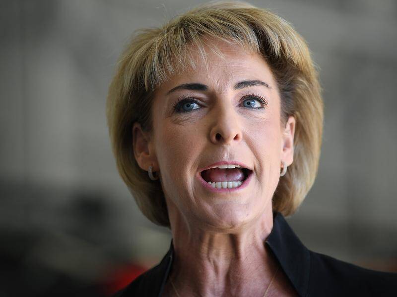 Michaelia Cash: "The coalition takes the mutual obligation of welfare recipients very seriously."