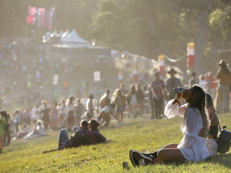 Amnesty bins will be set up at NSW musical festivals so people can discard pills if they see police.