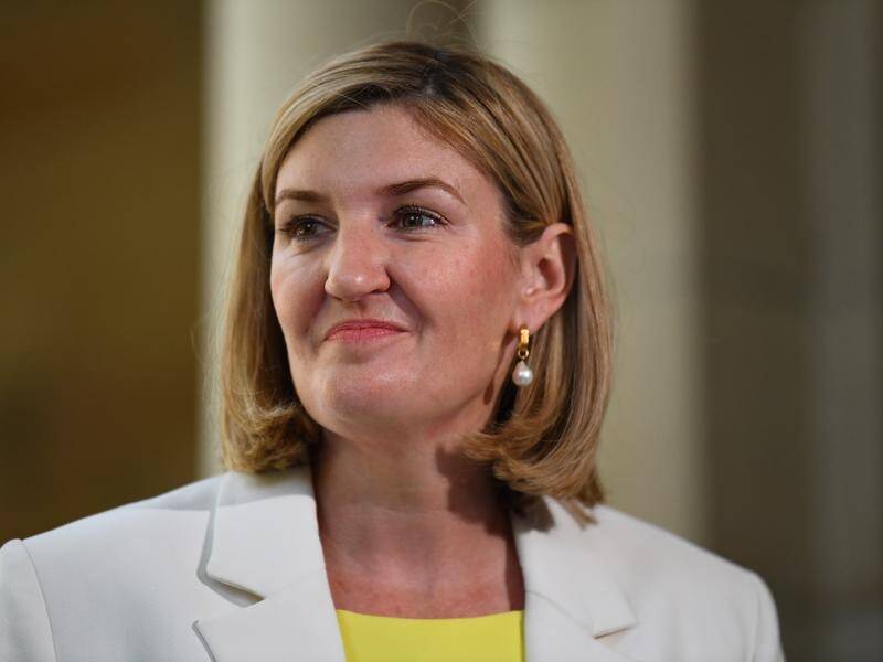 Health minister Shannon Fentiman is the latest to bid to become Queensland's next premier. (Jono Searle/AAP PHOTOS)